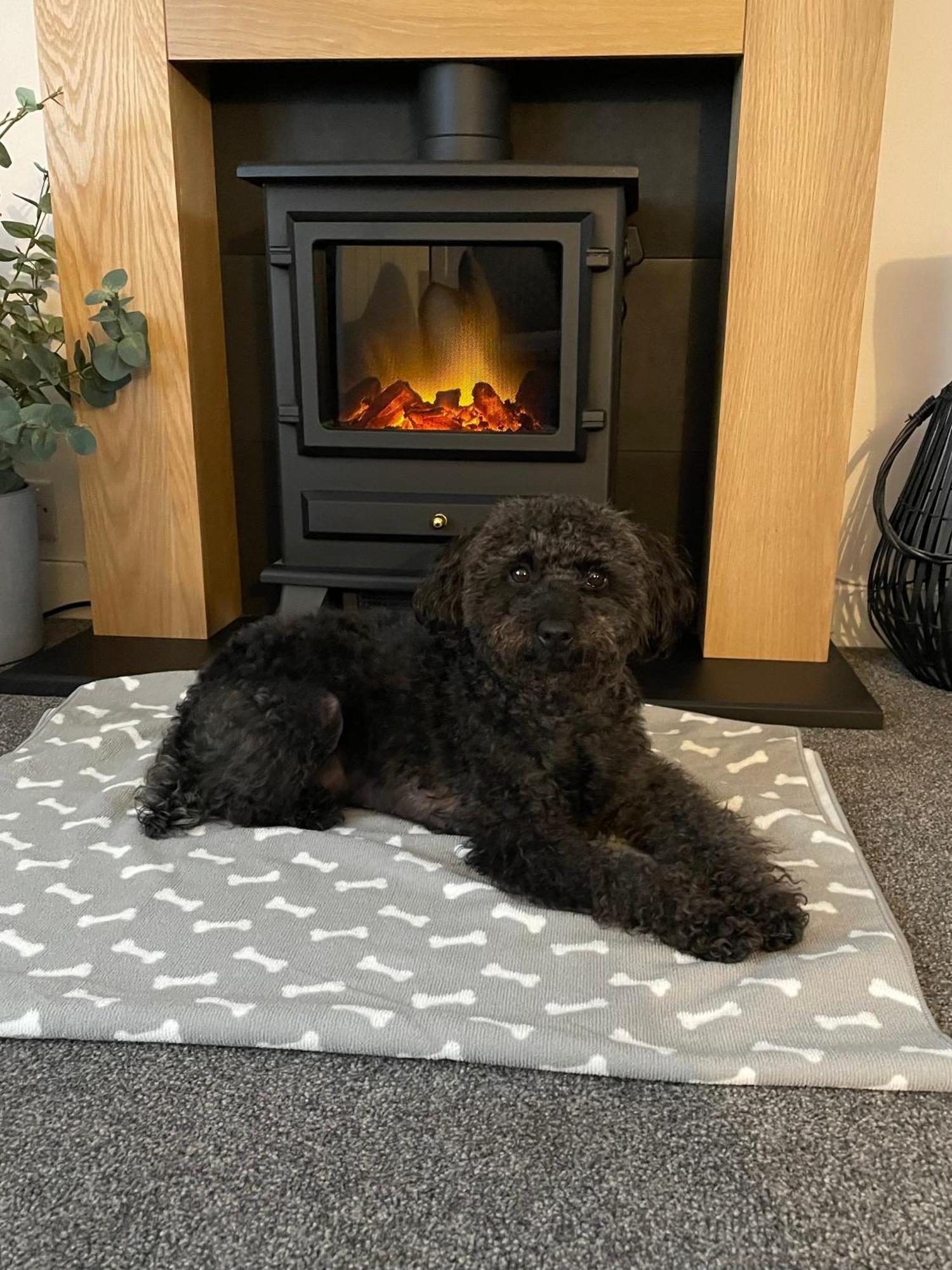 Holiday home Kinneuchar - By Elie, Dog Friendly.