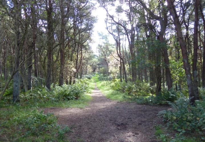 Kinneuchar - By Elie, Dog Friendly.